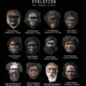 Meet your Posher, Rory